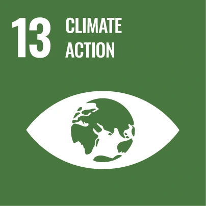 SDG 13